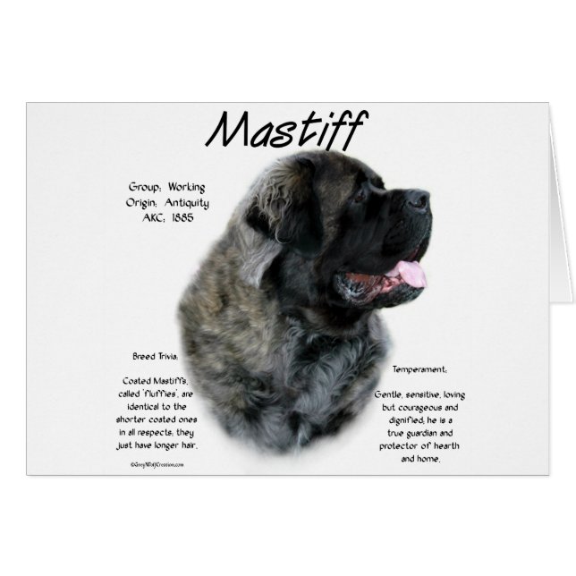 Historia de Brindle Fluffy Mastiff (Anverso (Horizontal))