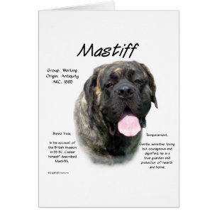 Historia de Brindle Mastiff
