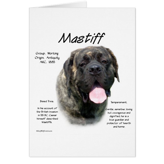 Historia de Brindle Mastiff (Frente)