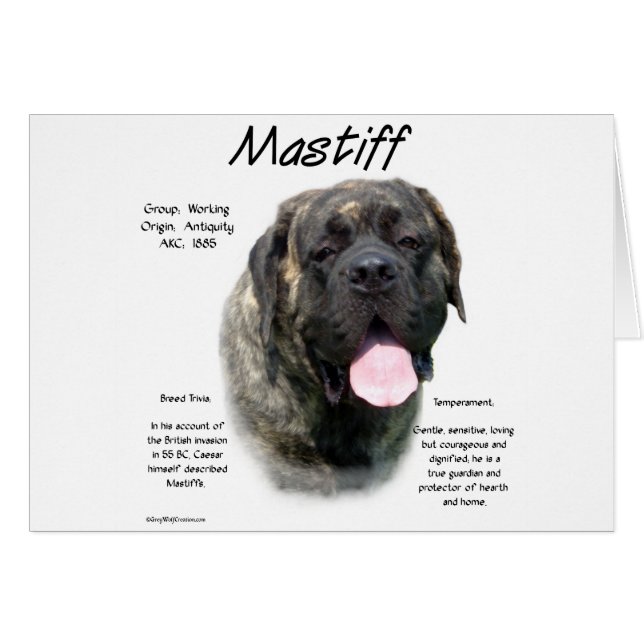 Historia de Brindle Mastiff (Anverso (Horizontal))