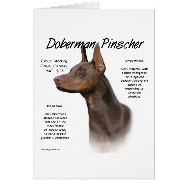 Historia de Doberman Rojo (Frente)