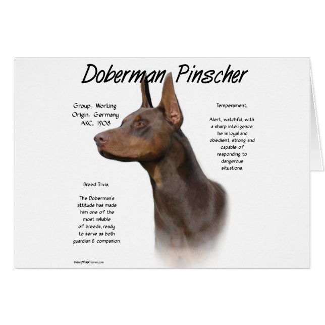 Historia de Doberman Rojo (Anverso (Horizontal))