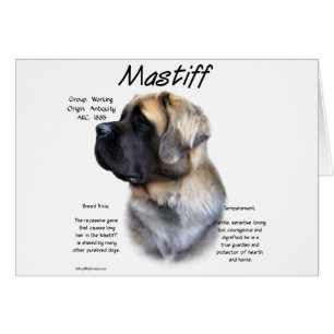 Historia de Fawn Fluffy Mastiff