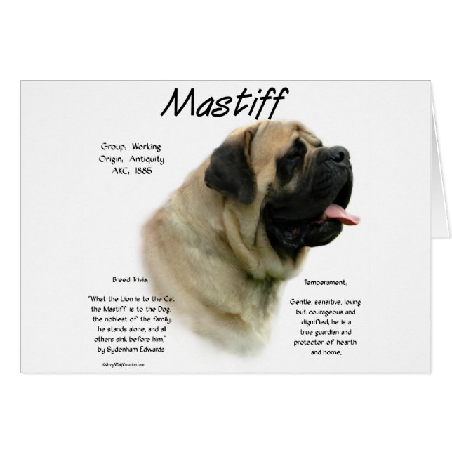 Historia de Fawn Mastiff (Anverso (Horizontal))