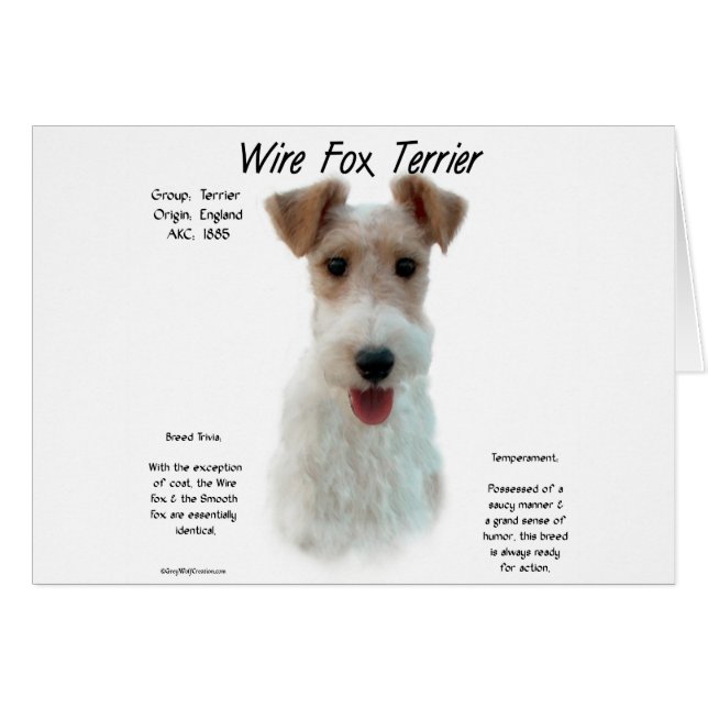 Historia de Fox Terrier de Wire; sobre el zorro de (Anverso (Horizontal))