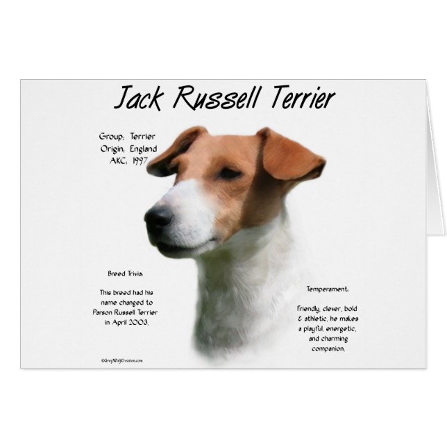 Historia de Jack Russell Terrier (Anverso (Horizontal))