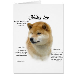 Historia de los indios shiba