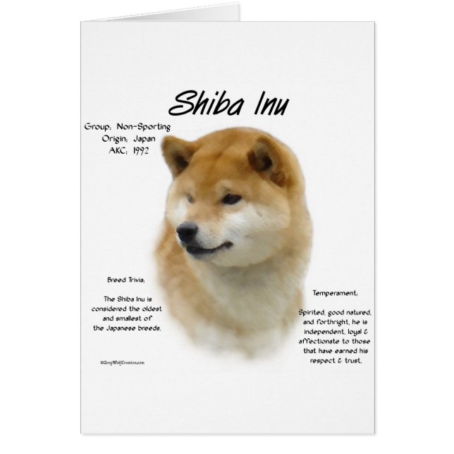 Historia de los indios shiba (Frente)