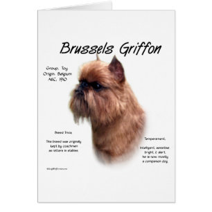 Historia de Rough Brussels Griffon