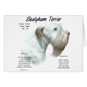 Historia de Sealyham Terrier