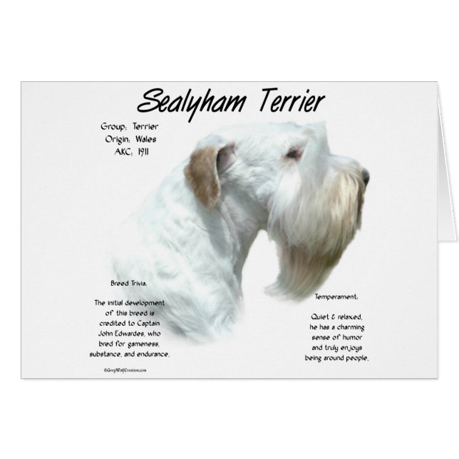 Historia de Sealyham Terrier (Anverso (Horizontal))