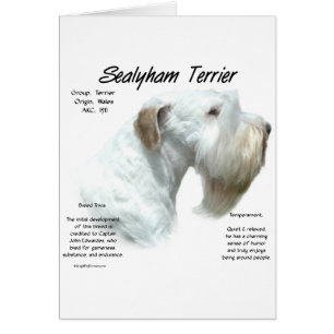 Historia de Sealyham Terrier