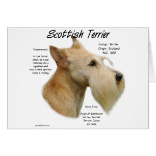 Historia de Wheaten Scottie