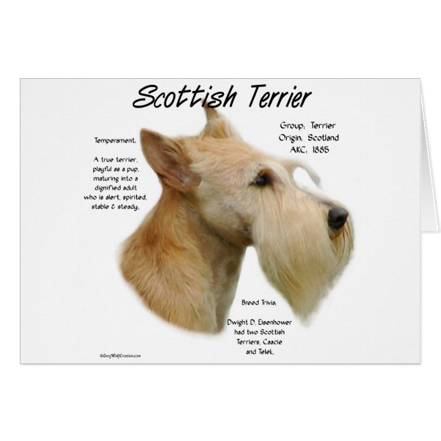 Historia de Wheaten Scottie (Anverso (Horizontal))