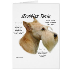 Historia de Wheaten Scottie