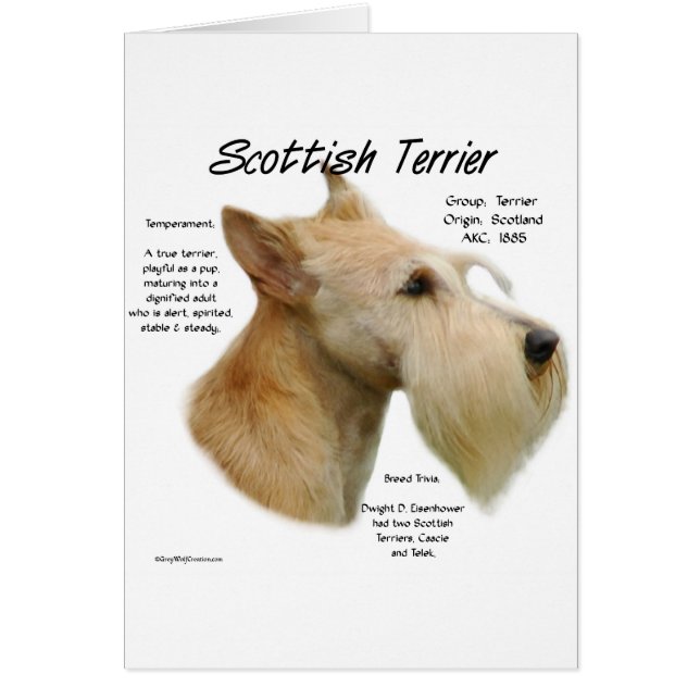 Historia de Wheaten Scottie (Frente)