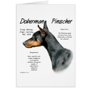 Historia del Doberman Negro