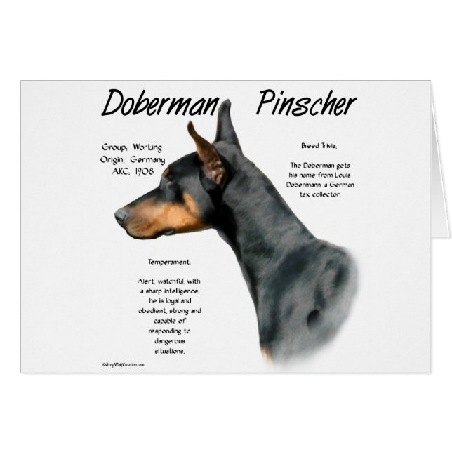 Historia del Doberman Negro (Anverso (Horizontal))