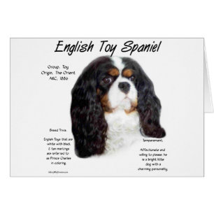 Historia española de Prince Charles English Toy