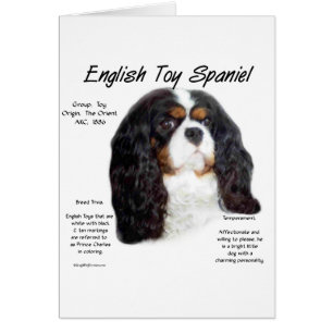 Historia española de Prince Charles English Toy