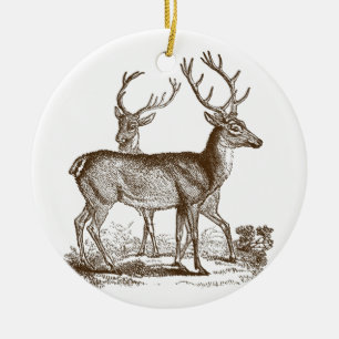 Historia natural de época adorno navideño