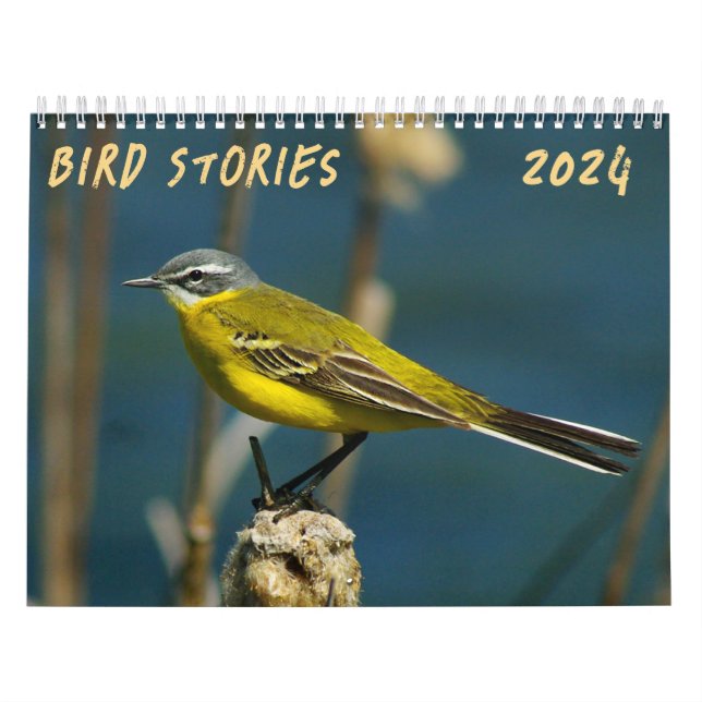 "Historias de aves" Calendario de fotos de aves (Tapa)