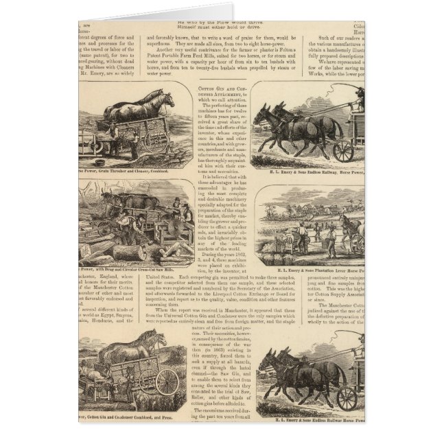 HL Emory e Hijos (Frente)