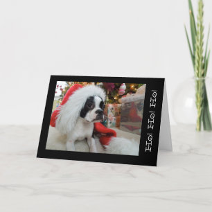 ¡Ho! ¡Ho! ¡ho! Felices Navidad Lola B. Boston