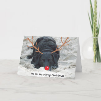 Ho Ho Ho feliz Navidad