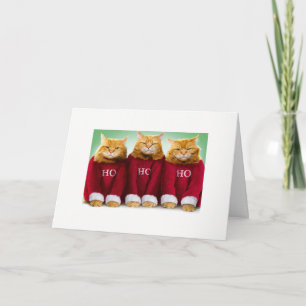 Ho Ho Ho tarjeta de Navidad del gato