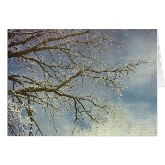 Hoar Frost, ¡Feliz Año Nuevo! (Anverso (Horizontal))