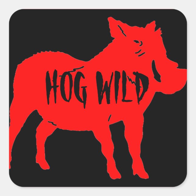 HOG WILD HELMET PEGATINAS PKG DE 20 (Anverso)