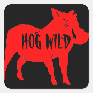 HOG WILD HELMET PEGATINAS PKG DE 20