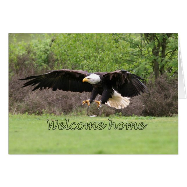 hogar agradable (Anverso (Horizontal))