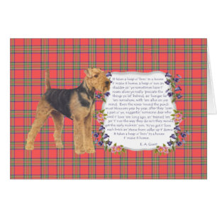 Hogar Airedale - Galés - Lakeland