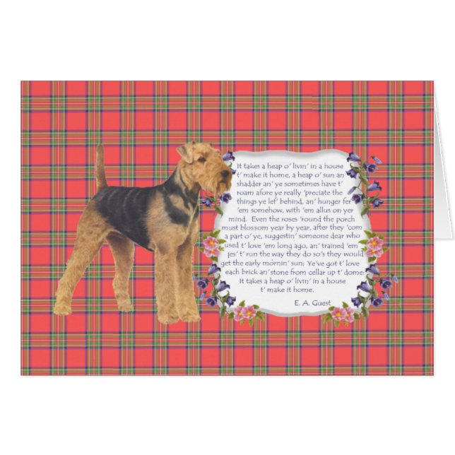 Hogar Airedale - Galés - Lakeland (Anverso (Horizontal))