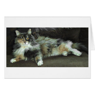 Hogar de la caza, esperando la cena