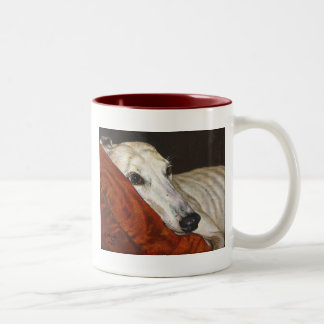 Hogar en la taza pasada de la taza del perro del