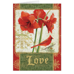 Hogar para el amor del Amaryllis del navidad