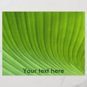 hoja