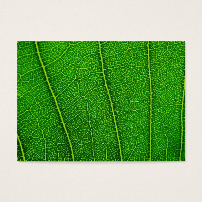 Hoja (Frente)