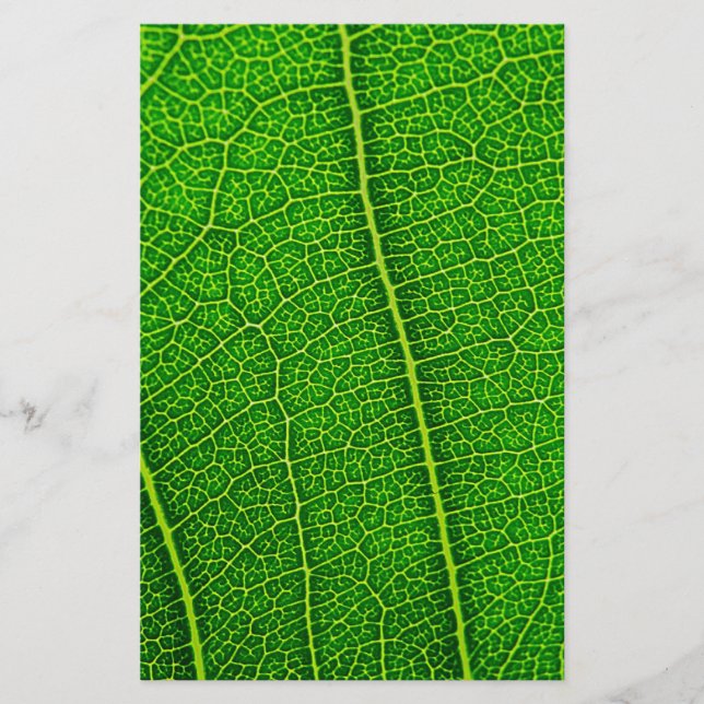 Hoja (Anverso)