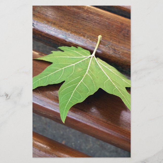 hoja caída (Anverso)