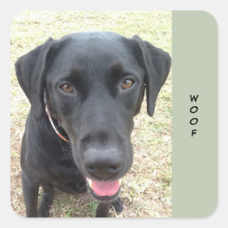 Hoja de 20 Pegatinas de Black Lab Woof