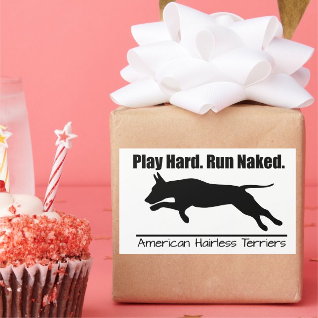 Hoja de adhesivos Play Hard AHT (Fiesta)