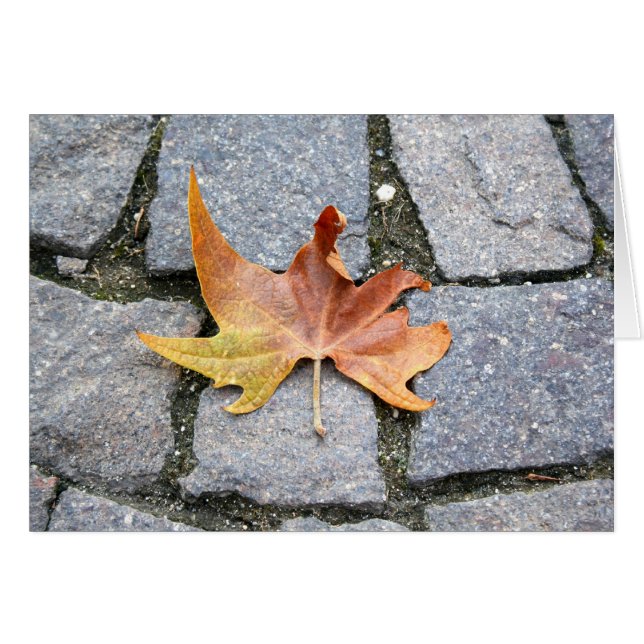 Hoja de Árbol del Plano de Londres (Anverso (Horizontal))