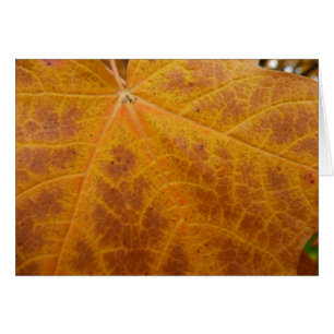 Hoja de arce amarilla otoño Resumen Naturaleza