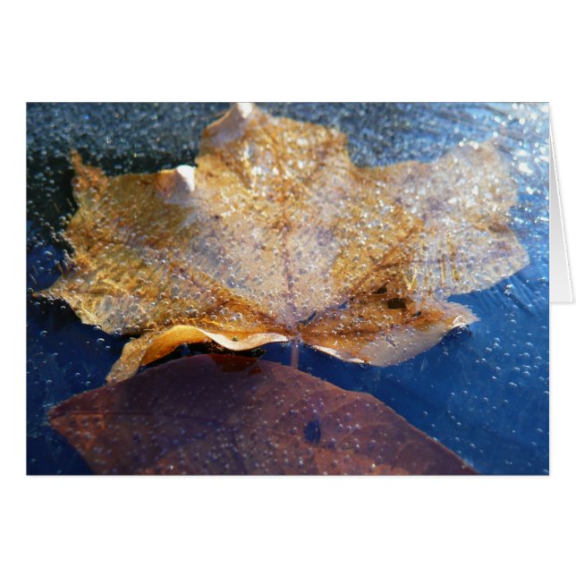 Hoja de Arce Amarillo Congelada Otoño Naturaleza (Anverso (Horizontal))