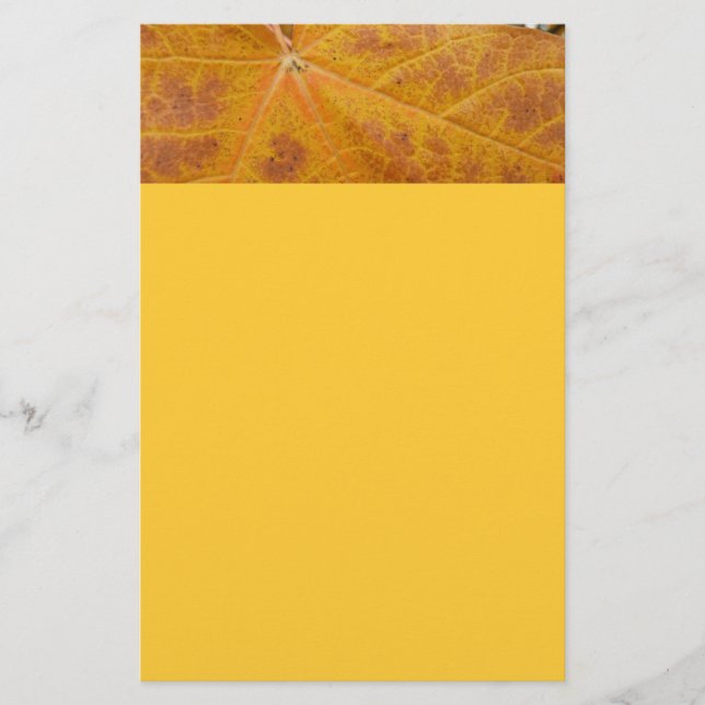 Hoja de Arce Amarillo Otoño Abstracto Naturaleza (Anverso)