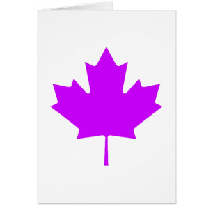 Hoja de arce PurpleTransp los regalos de Zazzle
